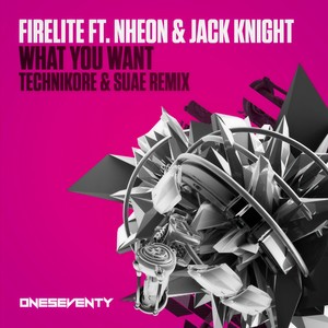 What You Want (Technikore & Suae Remix - Radio Edit)