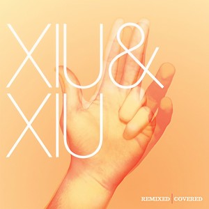 Ceremony (Xiu Xiu Remix)