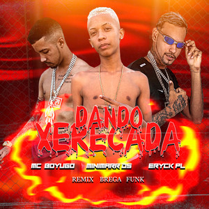 Dando Xerecada (Remix Brega Funk) [Explicit]