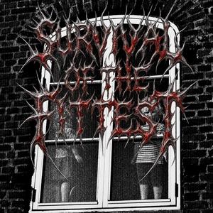 Survival of the Fittest