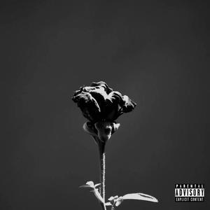 We Run It (feat. E Luxe) (Explicit)