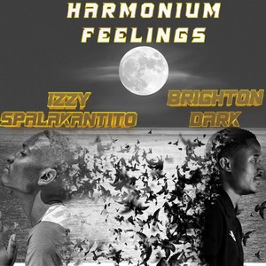 Harmonium Feelings (Explicit)