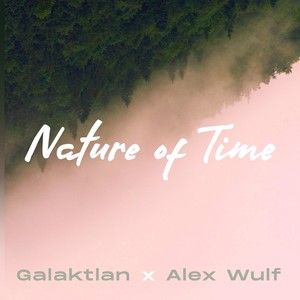 Nature of Time