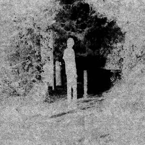 Light In The Dark (Explicit)