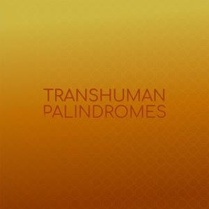 Transhuman Palindromes