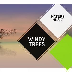 Windy Trees - Nature Music