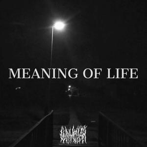 MEANING OF LIFE (feat. SENZORITY) [Explicit]