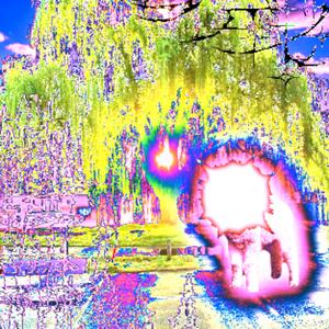 Spread My Ashes in the Lake