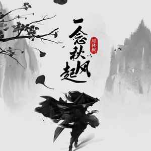 一念秋风起 (DJ武圣雄版)封面