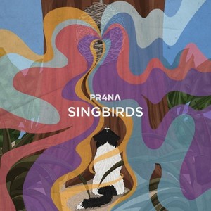 Singbirds