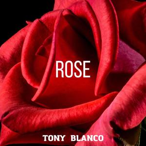 CALMA E SANGUE FREDDO