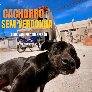 Cachorro Sem Vergonha