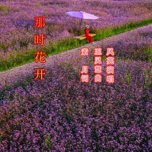 那时花开