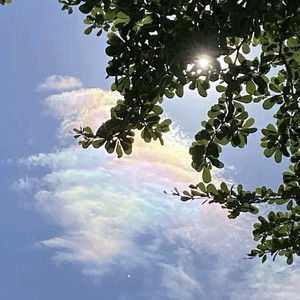 精神小伙专用曲