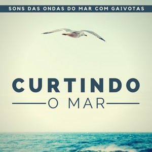 Curtindo o Mar - Atmosfera do Mar para Encontrar a Paz, Sons das Ondas do Mar com Gaivotas