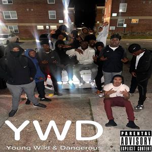 Young wild & dangerous (feat. Juice) [Explicit]