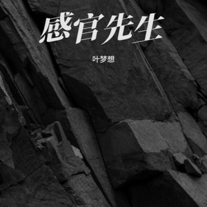 感官先生 (Live)