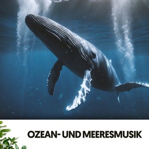 Ozean- und Meeresmusik: Wellen der Melodie