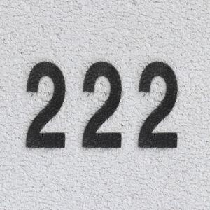 222 (FREESTYLE) [Explicit]