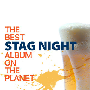 At The Hop (Stag Night Mix)
