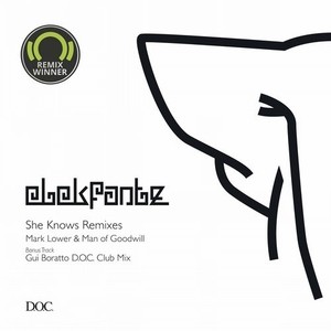 Mark Lower - She Knows (Mark Lower & Man Of Goodwill Remix)