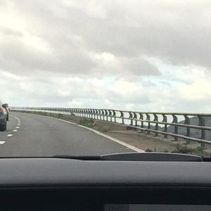 audible late stage psychosis .mp3 (lockdown classic)