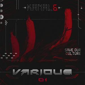 KANAL 6 VARIOUS 01 - SAVE OUR CULTURE (Explicit)