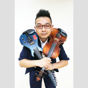 卷珠帘 (刘京小提琴Remix)