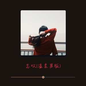怎叹 (温柔男版)
