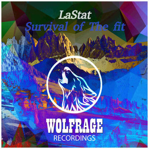Survival of The Fit (Original Mix)