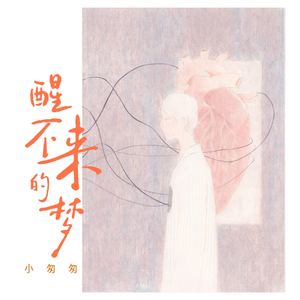 醒不来的梦