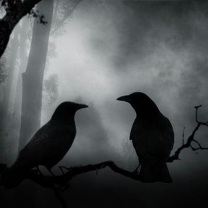 Kevin Robles - The Crow's Sorrow