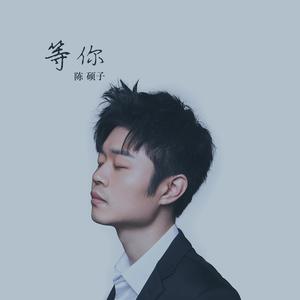 陈硕子 - 给身在异乡的你