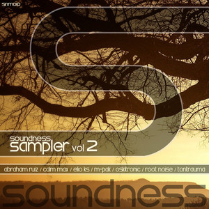 Soundness Sampler, Vol. 2