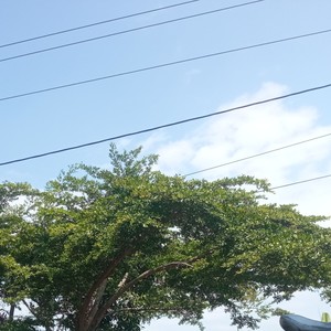 Qosidah Sisa Umur (COVER版)