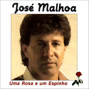 Uma Rosa e um Espinho