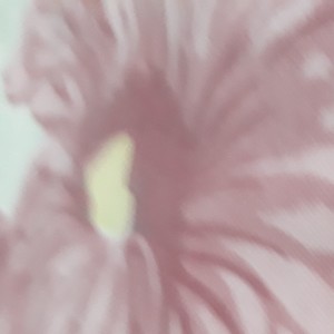 그녀도 내가 (她是我的)