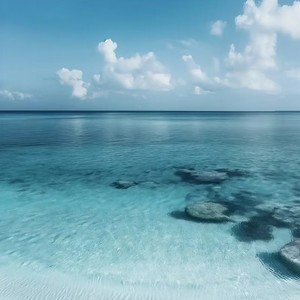 Dont Call Me (不要打给我)