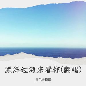 漂洋过海来看你 (Demo)