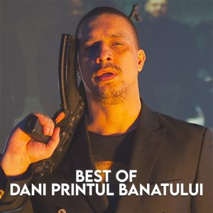 Best of Dani Printul Banataului