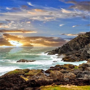 爱情给了我几道伤