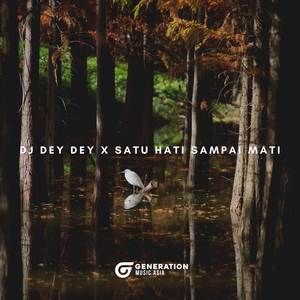 Dj Dey Dey X Satu Hati Sampai Mati