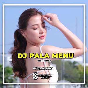 DJ Pala Menu (Ins)