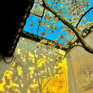 天使的翅膀 (钢琴曲)