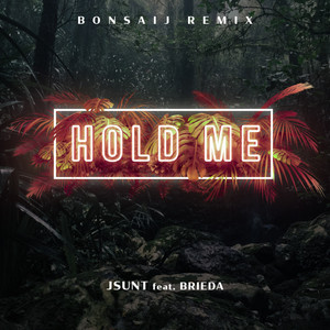 Hold Me (Bonsaij Remix)