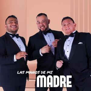 Las manos de mi madre