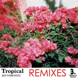 Tropical Remixes