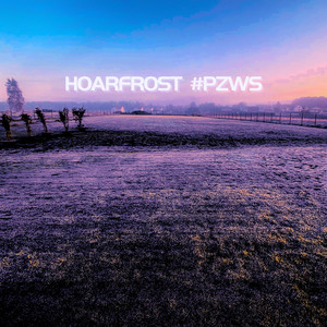 Hoarfrost