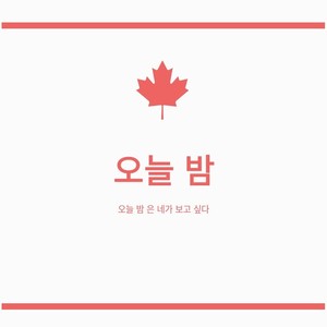 오늘 밤