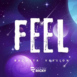 Feel (DJ Ricky Remix Bachata Version)